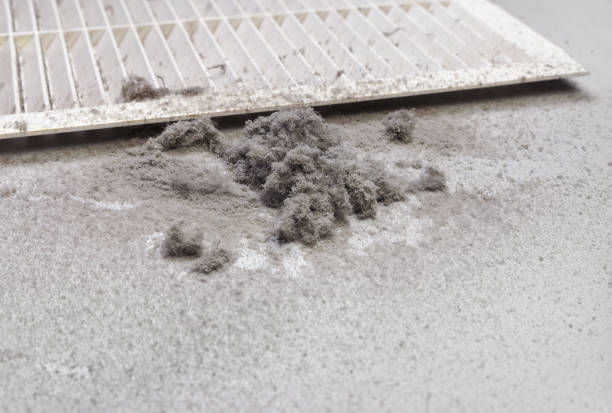 Best Duct Cleaning for Homes  in Kahului, HI